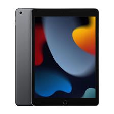 تبلت اپل مدل iPad 9  10.2 inch 2021 wifi ظرفیت 256 گیگابایت-Apple ipad 9 10.2 2021 256GB wifi